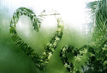 亚博体育- Faker官方宣布出色防守新规，日本队引发争议！再创辉煌时刻